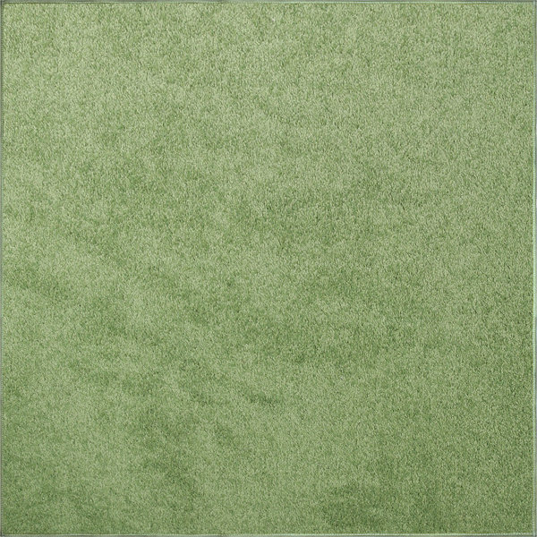 Latitude Run® Braided Performance Lime Green Rug Wayfair